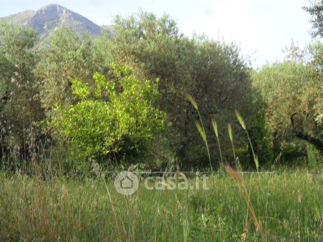 Terreno edificabile in residenziale in Via Appia lato Roma