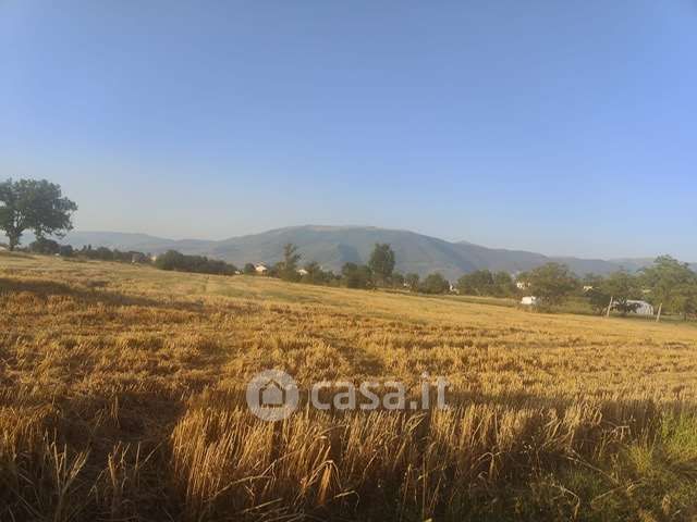 Terreno agricolo in commerciale in Frazione San Brizio