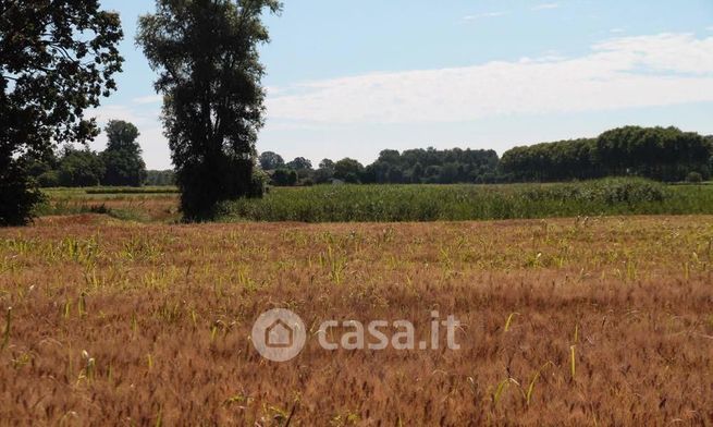Terreno agricolo in commerciale in Via Olevano