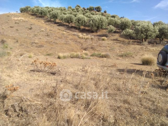 Terreno agricolo in commerciale in Strada Provinciale 50