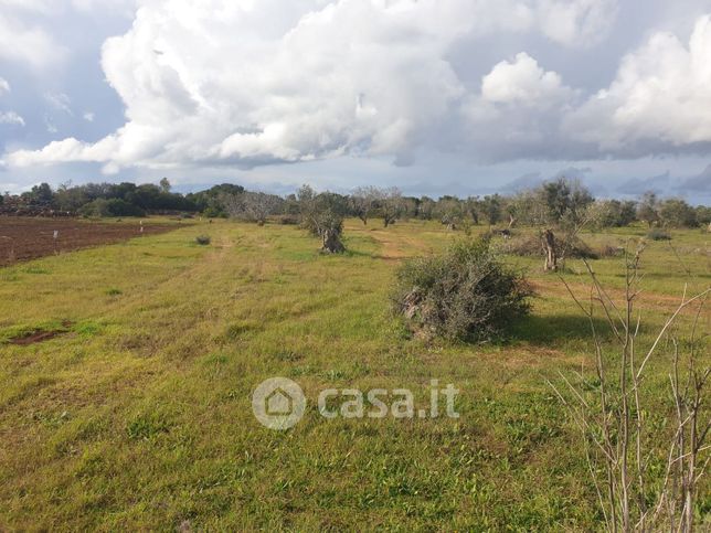 Terreno agricolo in commerciale in 