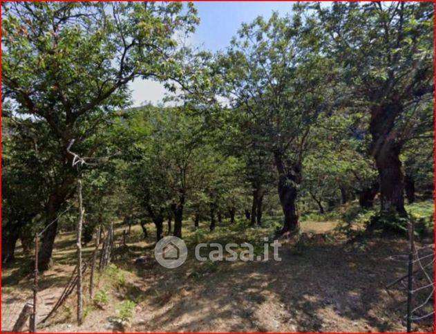 Terreno agricolo in commerciale in Strada Provinciale 5
