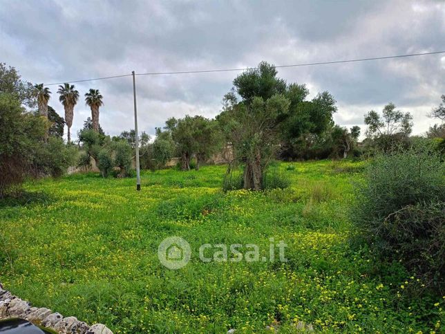 Terreno agricolo in commerciale in 