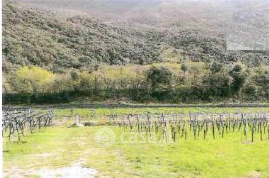 Terreno agricolo in commerciale in Via Molino