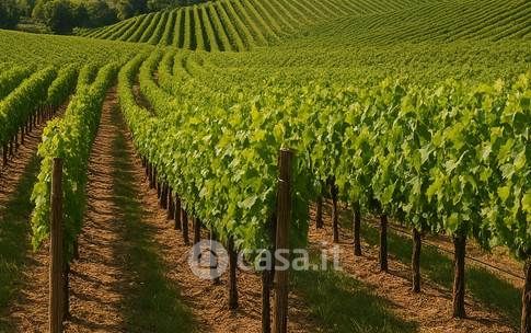 Terreno agricolo in commerciale in 
