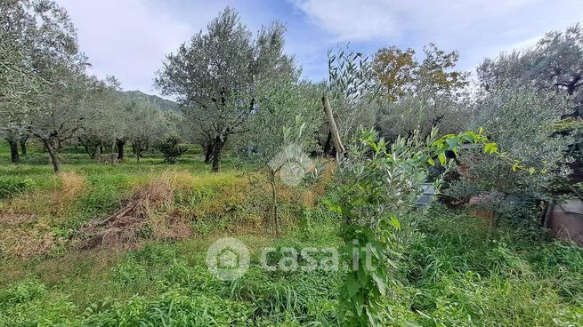 Terreno agricolo in commerciale in Località San Felice 28