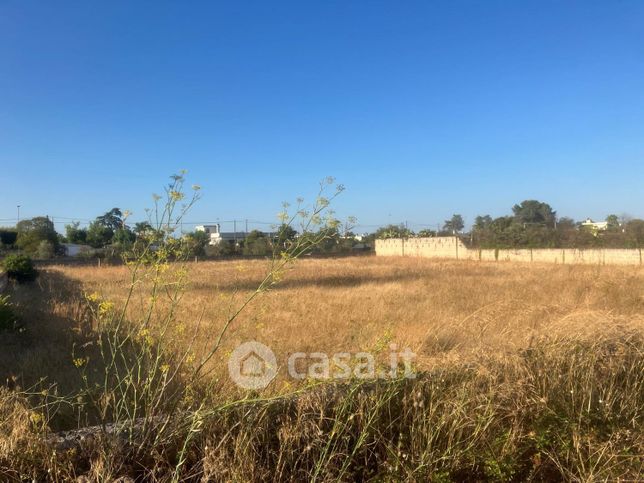 Terreno agricolo in commerciale in CJ8W+QJ4 Manduria, Provincia di Taranto