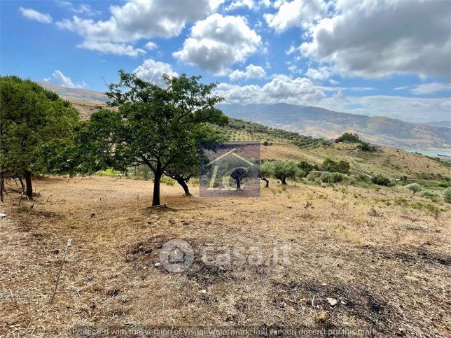 Terreno agricolo in commerciale in Contrada Burgio