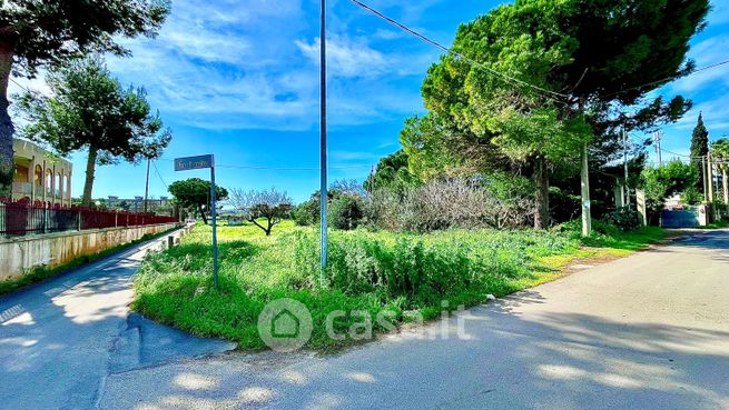Terreno agricolo in commerciale in Via Fior di Papiro
