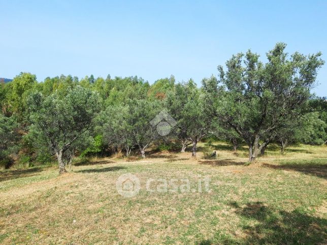 Terreno agricolo in commerciale in Strada Statale 180 28