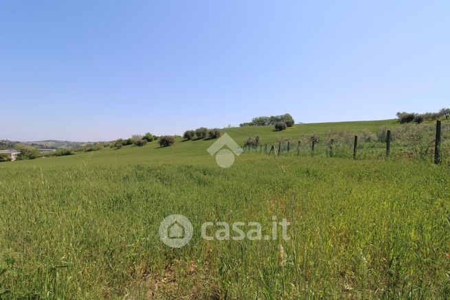 Terreno agricolo in commerciale in Strada di San Michele