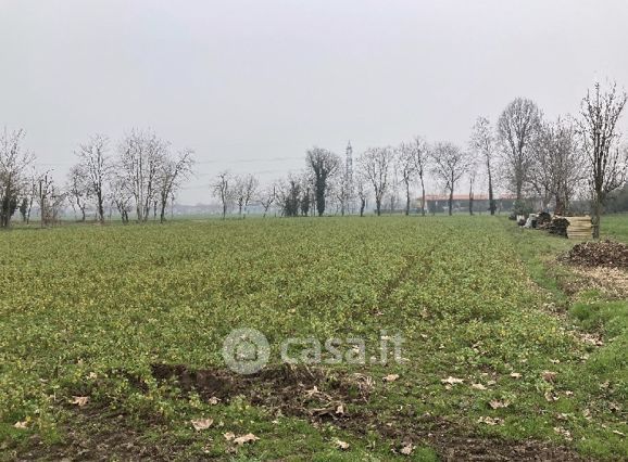 Terreno agricolo in commerciale in Strada Provinciale 180