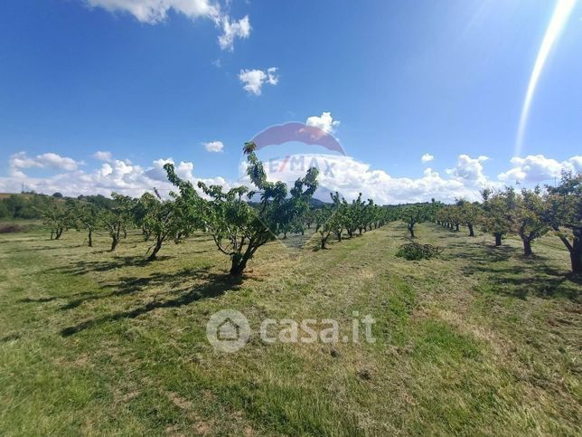 Terreno agricolo in commerciale in Via Monticelli