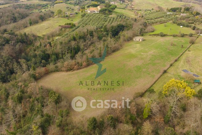 Terreno agricolo in commerciale in Via Torraccia del Bosco 50