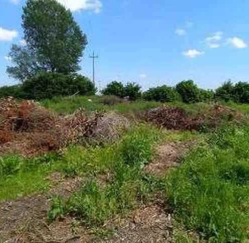 Terreno agricolo in commerciale in Via Marchefave