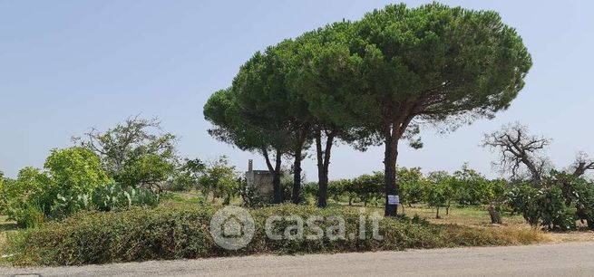 Terreno agricolo in commerciale in Strada Provinciale 76