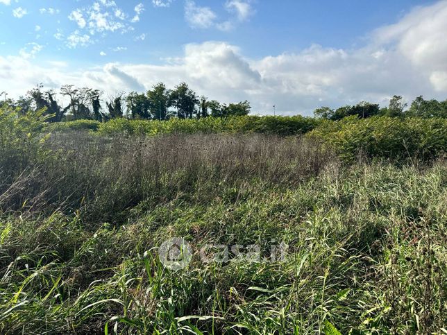 Terreno edificabile in residenziale in Strada Provinciale Francesca