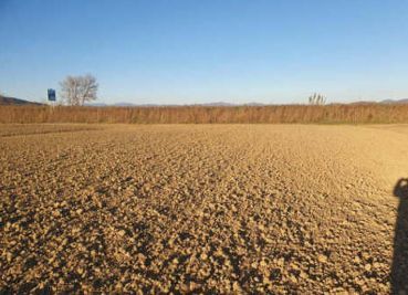 Terreno agricolo in commerciale in Località Le Colonne