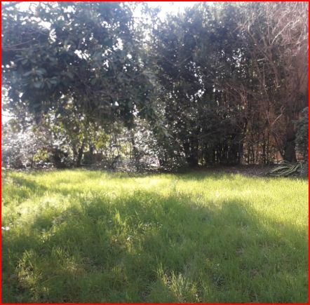 Terreno agricolo in commerciale in Via Roberto Ardigò