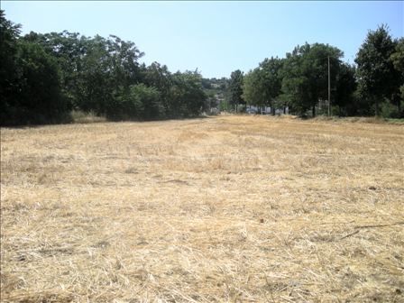 Terreno edificabile in residenziale in Via dei Gelsi