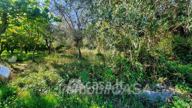 Terreno agricolo in commerciale in 