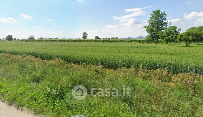 Terreno agricolo in commerciale in 