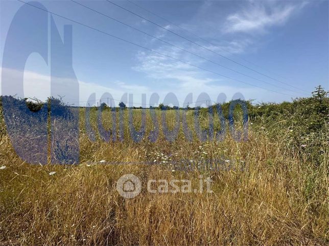 Terreno edificabile in residenziale in LocalitÃ  Punta Cugno