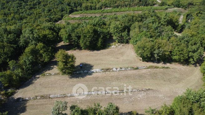 Terreno agricolo in commerciale in Via Casalmaggiore