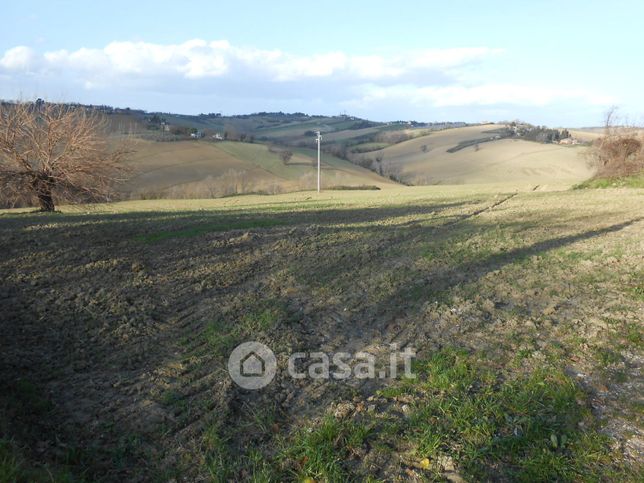 Terreno agricolo in commerciale in Via Sant'Amico