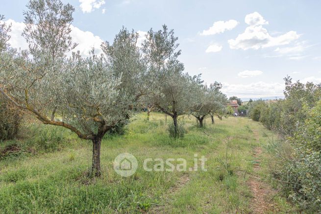 Terreno agricolo in commerciale in Via dei Gigli