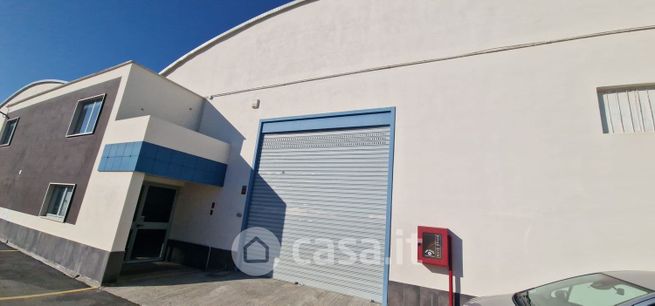 Capannone in commerciale in s.p.231 km