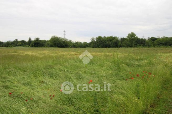 Terreno agricolo in commerciale in SP13 1