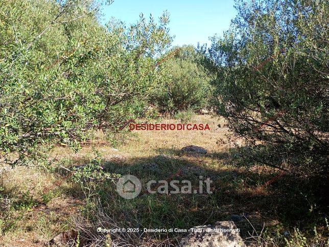 Terreno agricolo in commerciale in Strada Statale 113 Settentrionale Sicula