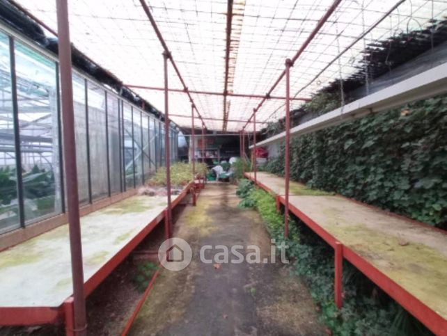 Capannone in commerciale in Via Detesalvo Lupi