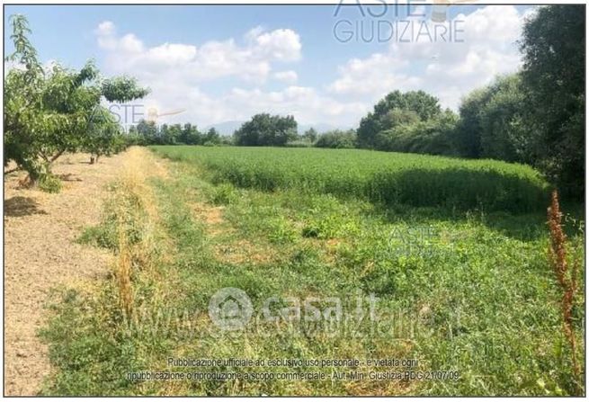 Terreno agricolo in commerciale in 