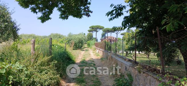 Terreno agricolo in commerciale in Via delle Grotte