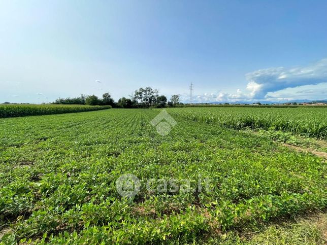 Terreno agricolo in commerciale in Via Dante Alighieri