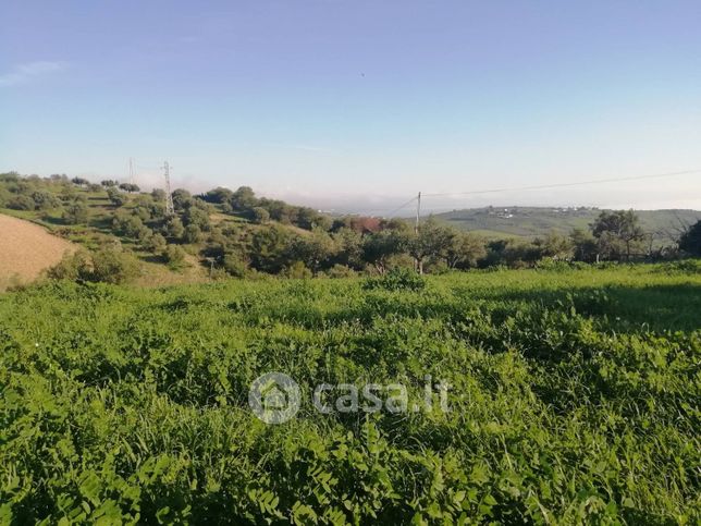 Terreno agricolo in commerciale in Via Enrico Ghezzi