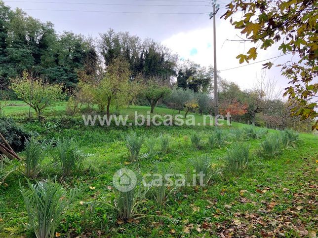 Terreno agricolo in commerciale in 