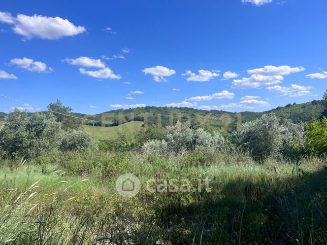 Terreno agricolo in commerciale in Strada Provinciale Campigliola