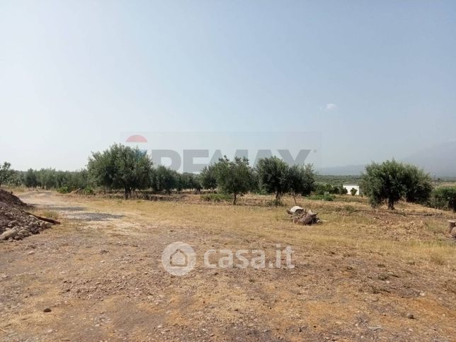 Terreno agricolo in commerciale in Contrada Cugno