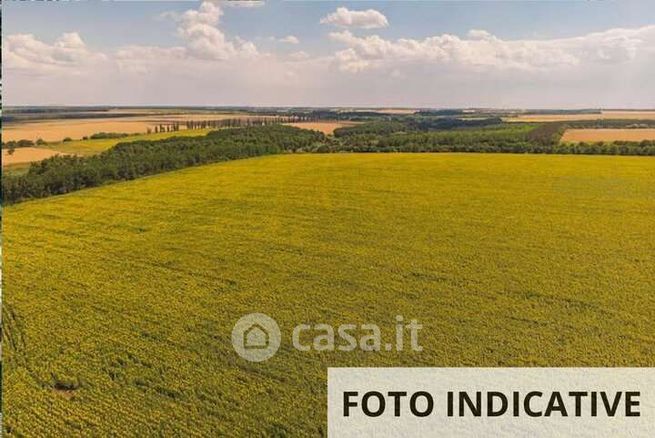 Terreno agricolo in commerciale in Strada Provinciale 16