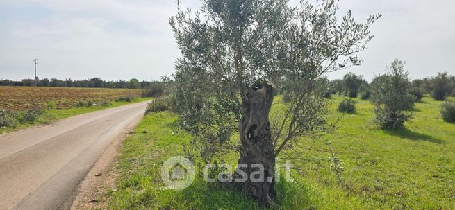 Terreno agricolo in commerciale in masseria doganieri