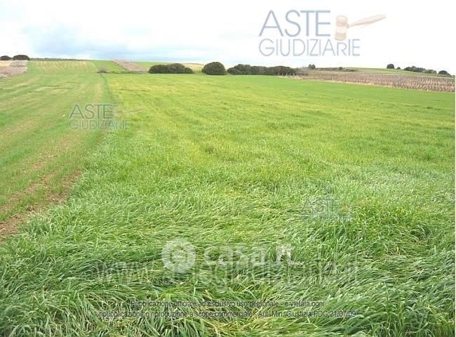 Terreno agricolo in commerciale in 