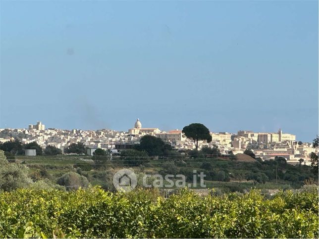 Terreno agricolo in commerciale in Strada Provinciale 24
