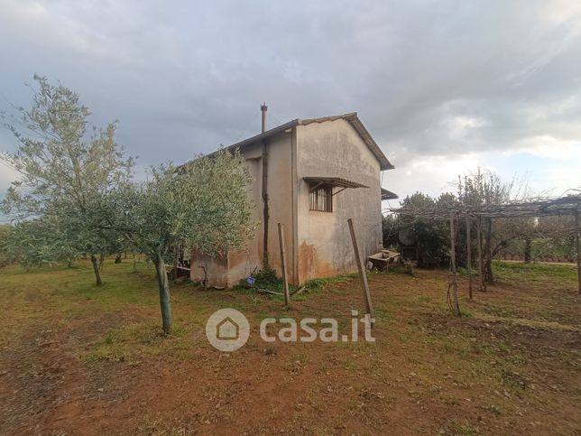 Terreno agricolo in commerciale in Via dei Piceni 15