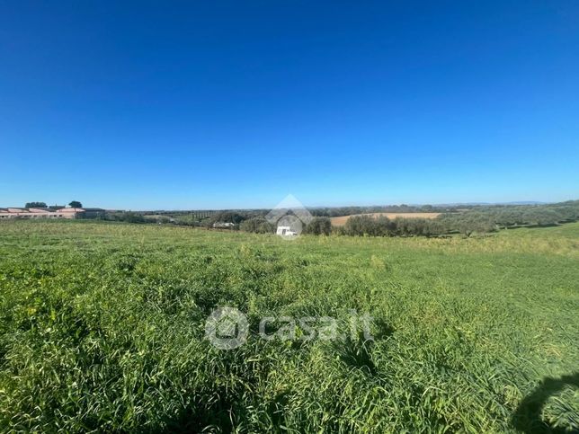 Terreno agricolo in commerciale in Via Ceva 242