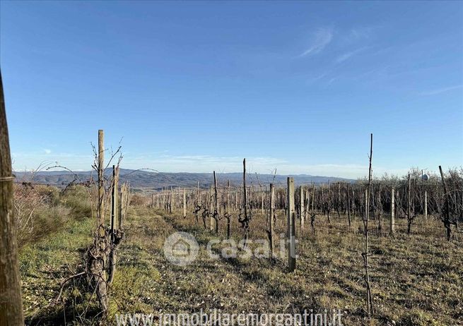 Terreno agricolo in commerciale in 