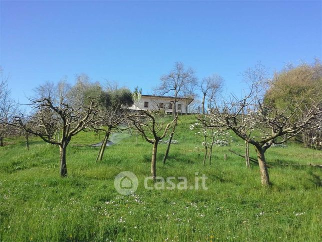 Terreno agricolo in commerciale in Località Castagnera Alta 1