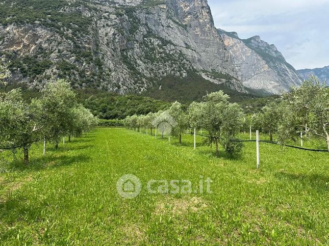 Terreno agricolo in commerciale in Località Oltra